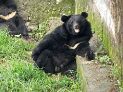 Gopalpur Zoo
