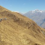 Aorson Bugyal Trek Auli