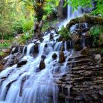 Company Garden Mussoorie