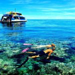 Havelock Island