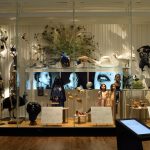 Anthropological Museum Port Blair