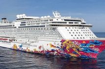 Best Cruise Tours in India