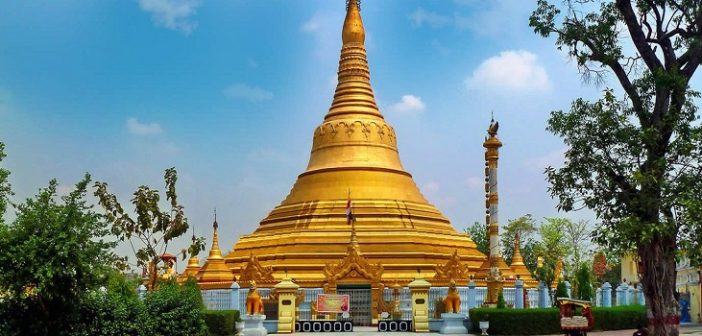 Bhodgya