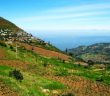 Doddabetta Peak Ooty