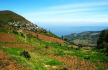 Doddabetta Peak Ooty