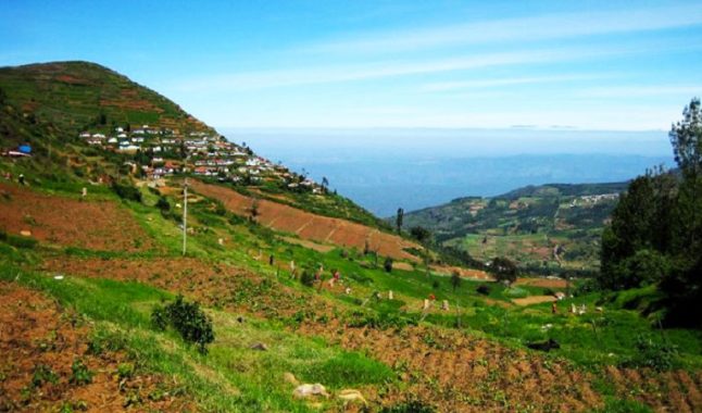 Doddabetta Peak Ooty