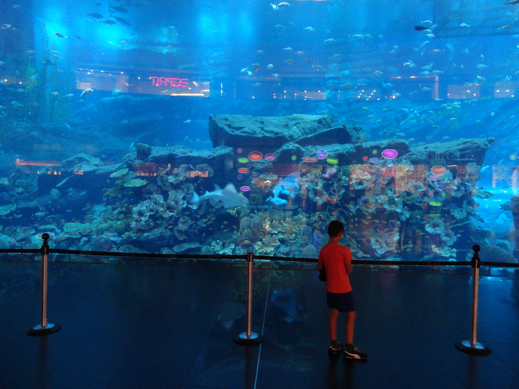 Dubai Aquarium