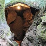 Eco Cave Garden