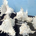 Fisheries Museum Port Blair