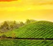 Places to Visit in India