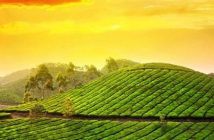 Places to Visit in India