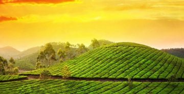 Places to Visit in India