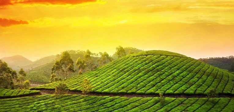 Places to Visit in India