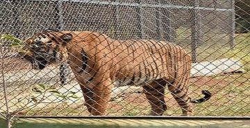 Zoo in India