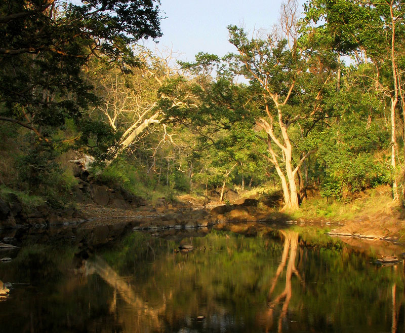 Melghat Tiger Reserve, Amravati